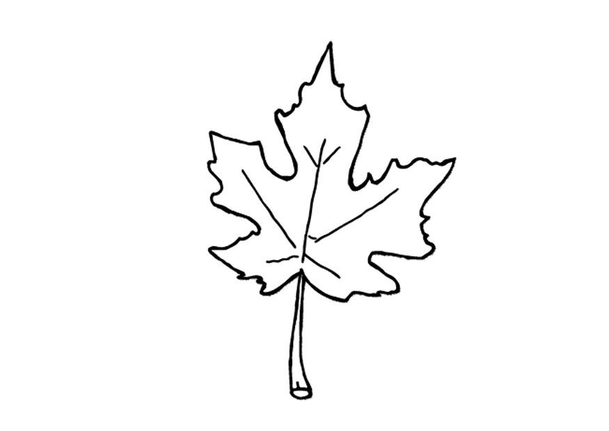 Disegno da colorare foglia autunnale