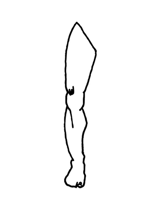 Disegno da colorare gamba