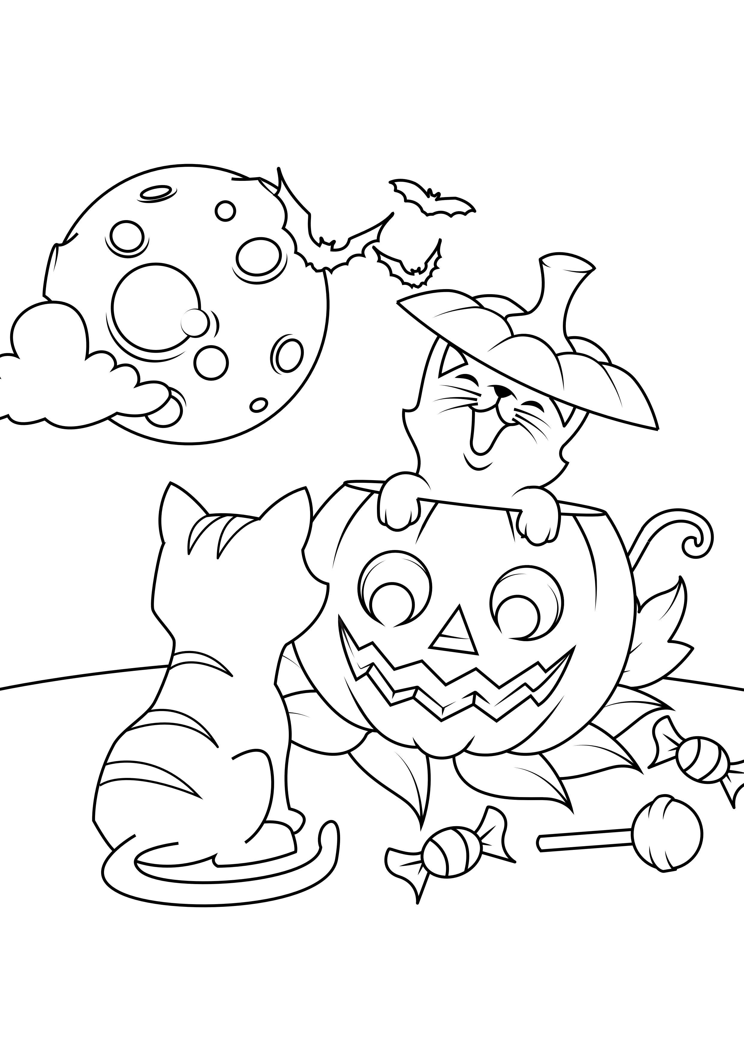 Disegno da colorare gatti con zucca