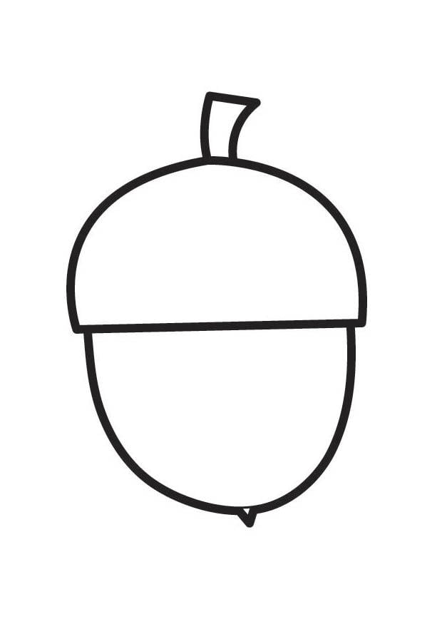 Disegno da colorare ghianda