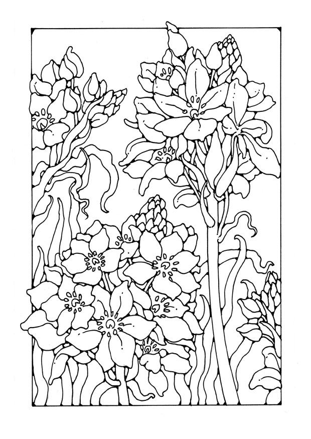 Disegno da colorare giglio
