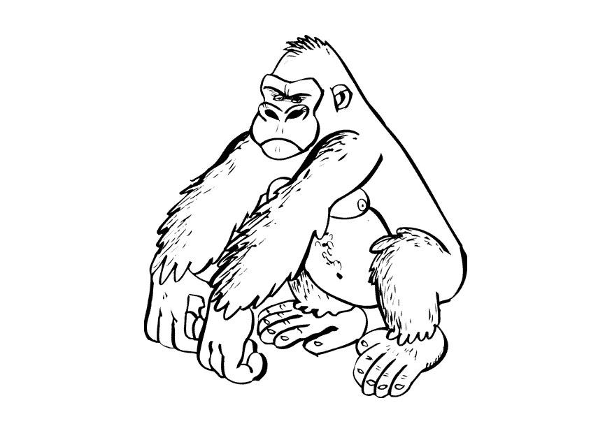 Disegno da colorare gorilla