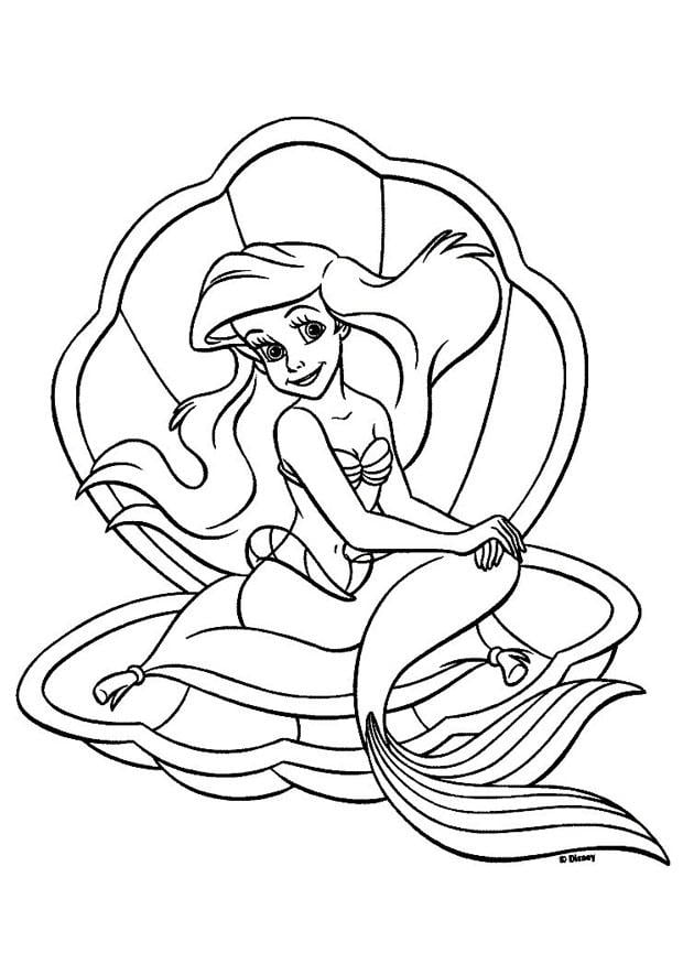 Disegno da colorare la sirenetta - ariel