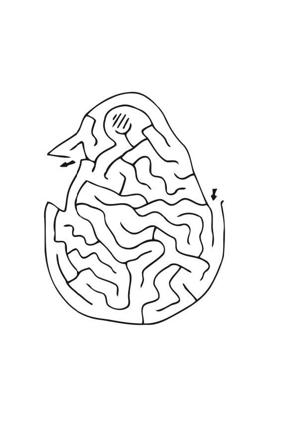 Disegno da colorare labirinto - pulcino