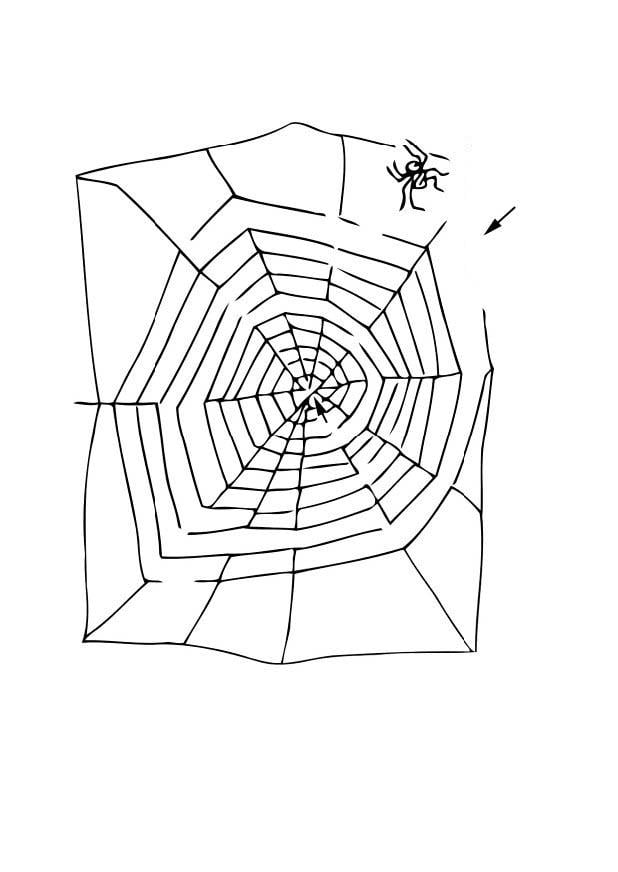 Disegno da colorare labirinto - ragno