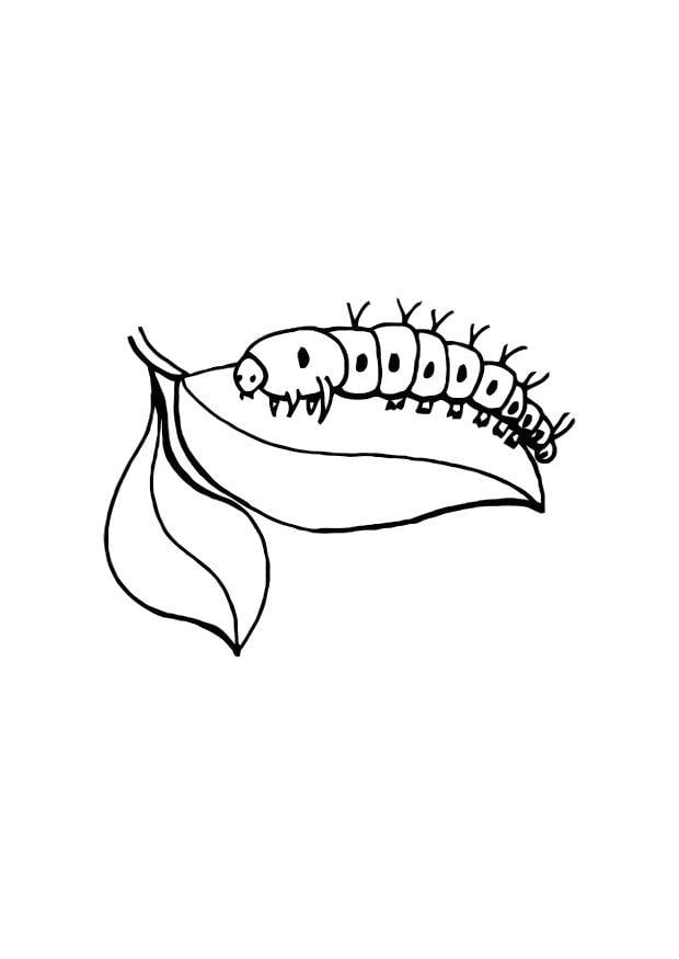 Disegno da colorare larva