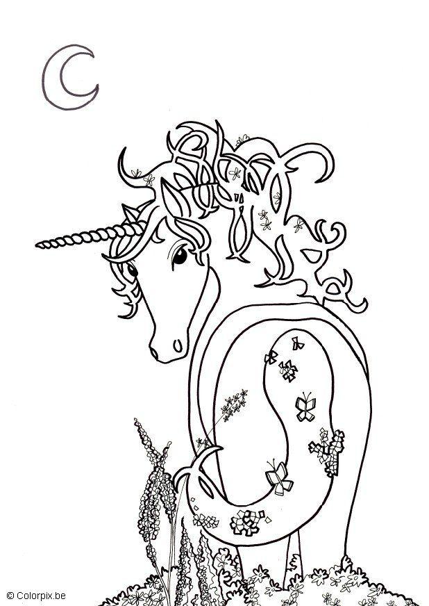 Disegno da colorare leocorno