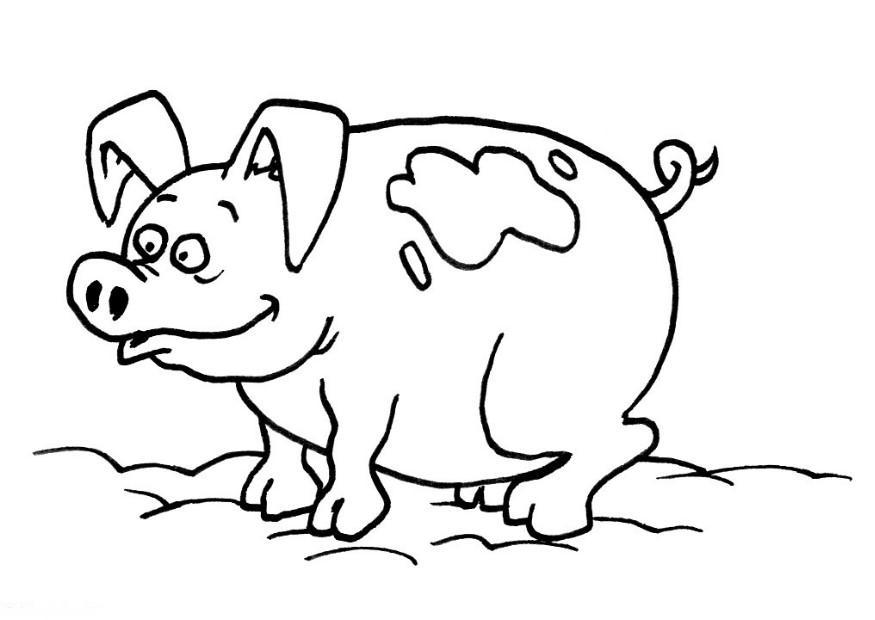 Disegno da colorare maiale