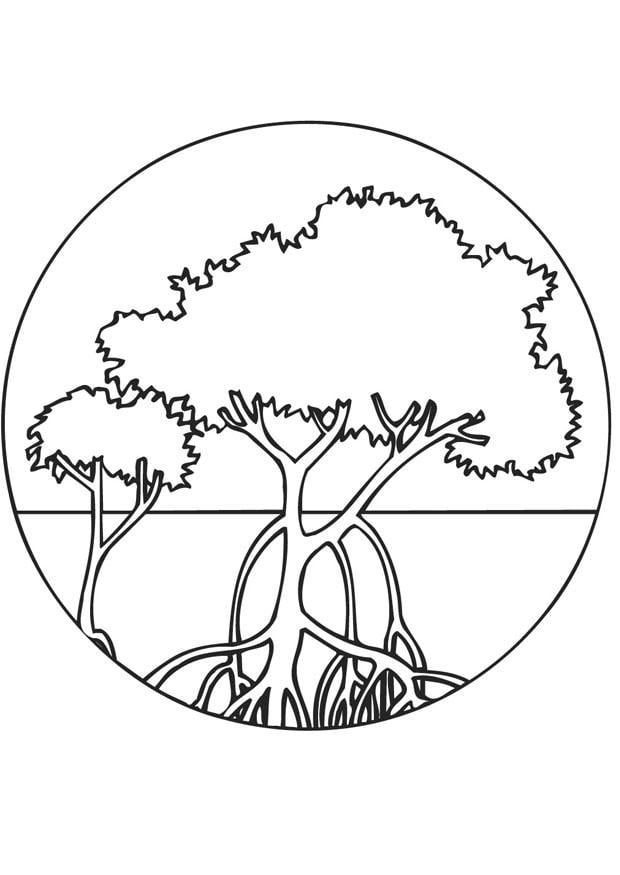 Disegno da colorare mangrovie