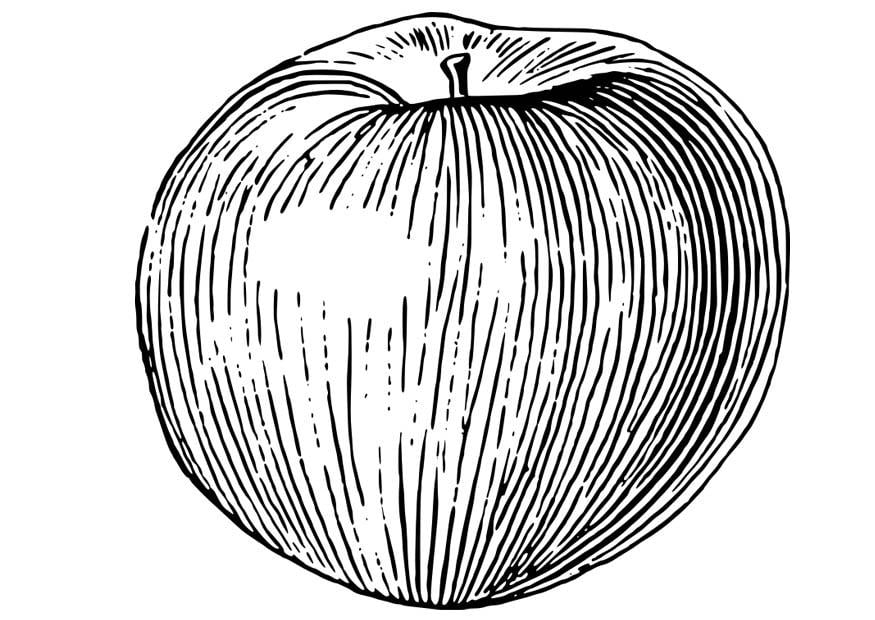 Disegno da colorare mela