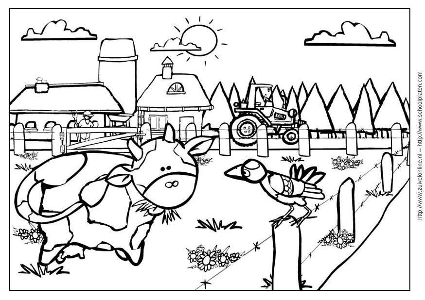 Disegno da colorare mucca 2