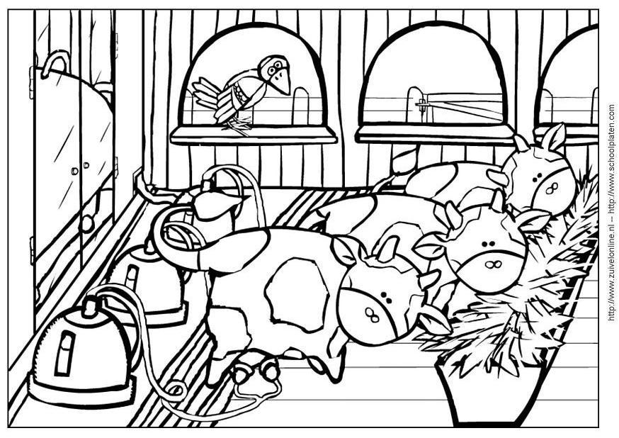 Disegno da colorare mucca 4