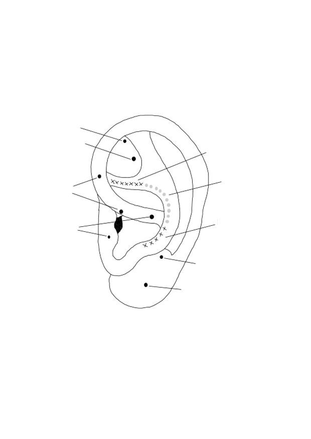 Disegno da colorare orecchio