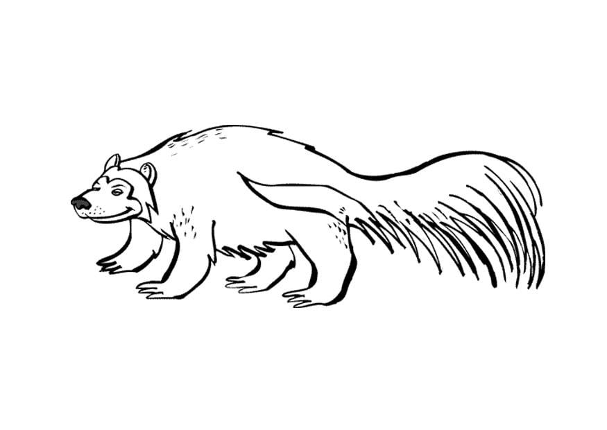 Disegno da colorare orso