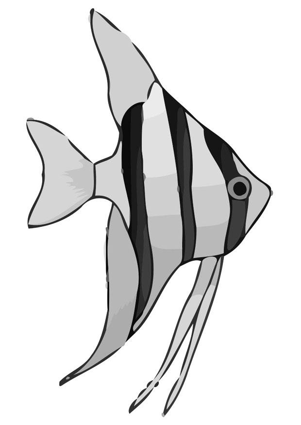 Disegno da colorare pesce