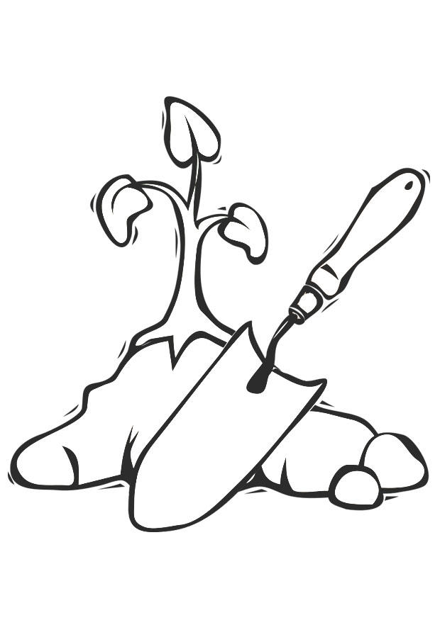 Disegno da colorare piantare unalbero