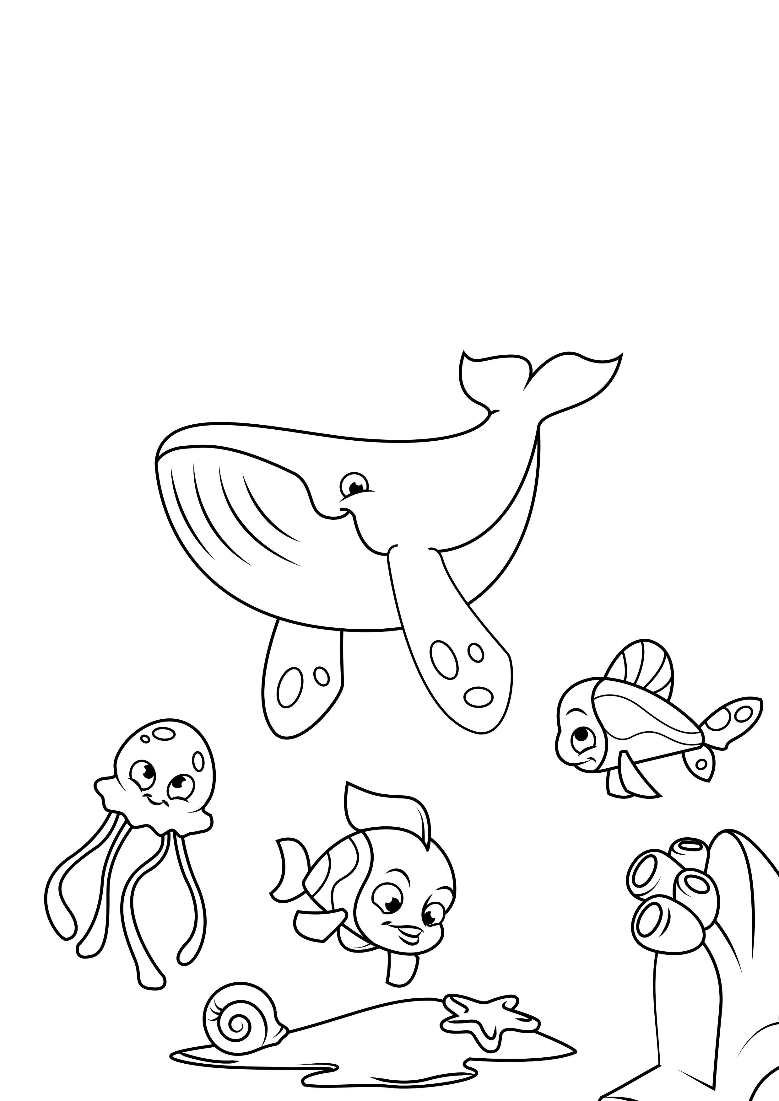 Disegno da colorare polpo balena e pesce