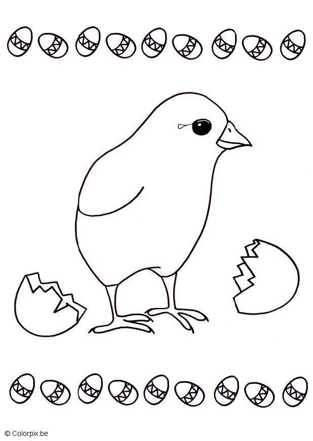 Disegno da colorare pulcino dalluovo
