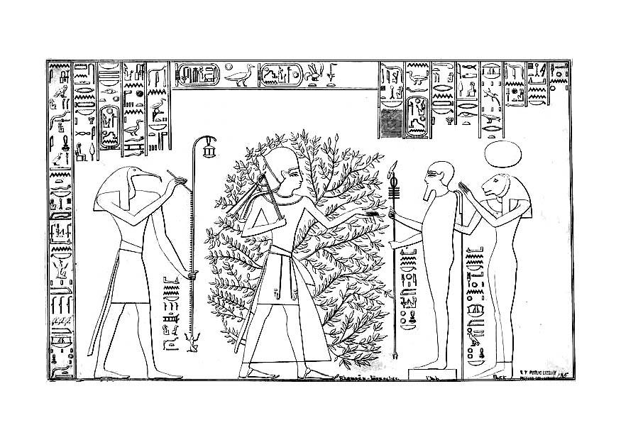 Disegno da colorare ramses e lalbero della vita