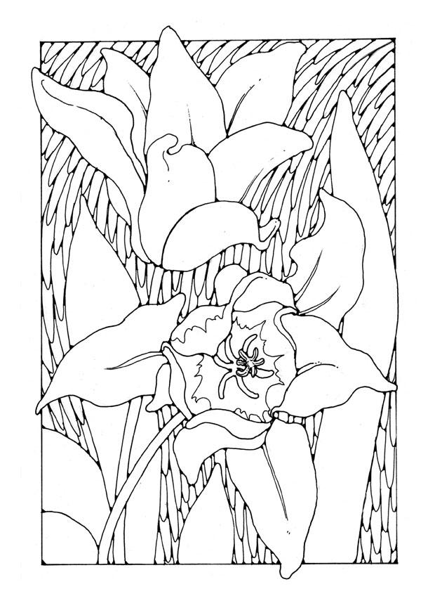 Disegno da colorare tulipani