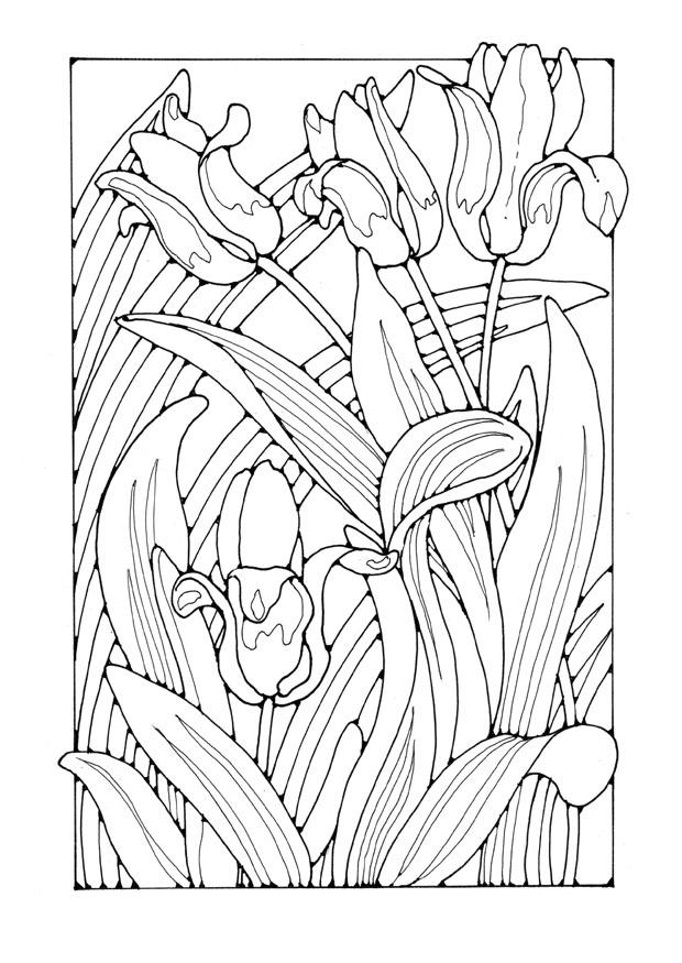 Disegno da colorare tulipani