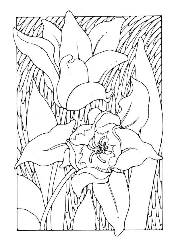 Disegno da colorare tulipani