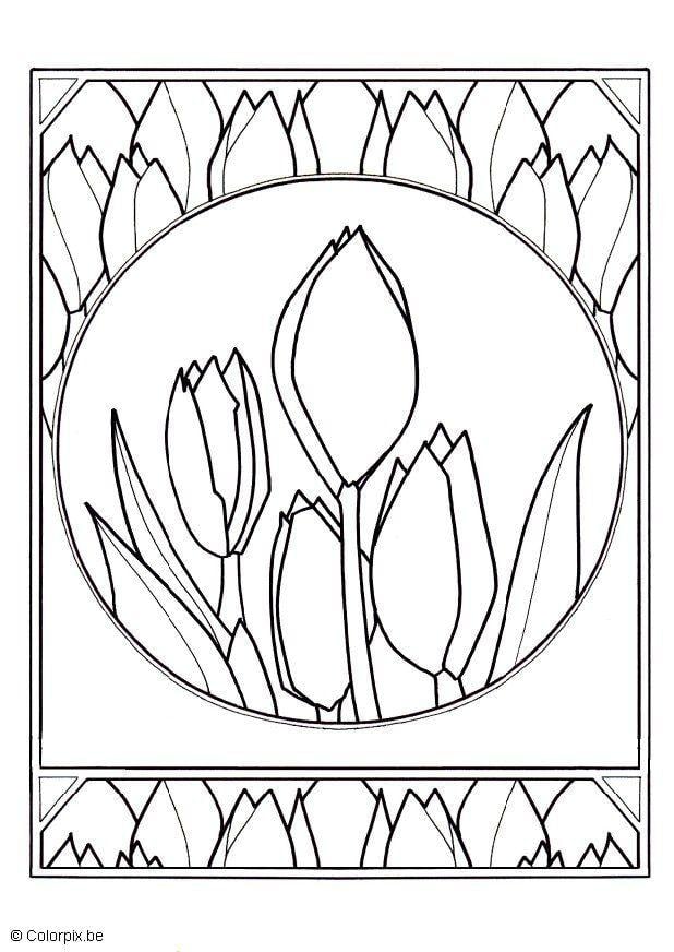 Disegno da colorare tulipani