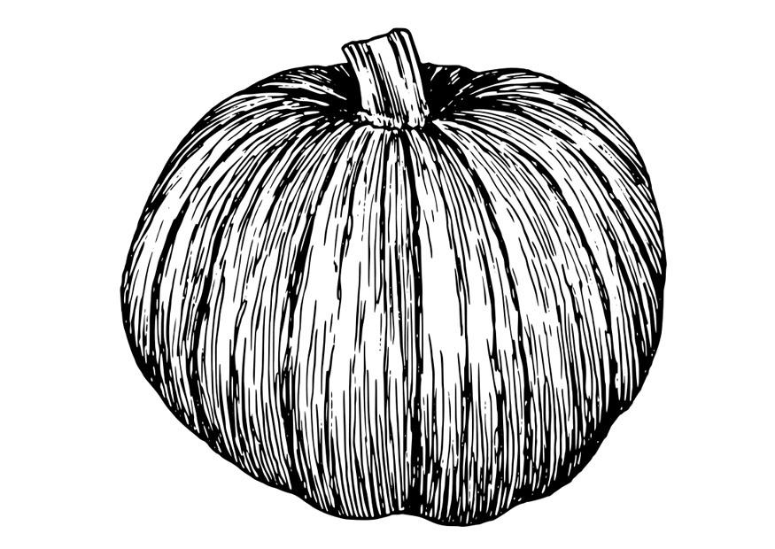Disegno da colorare zucca