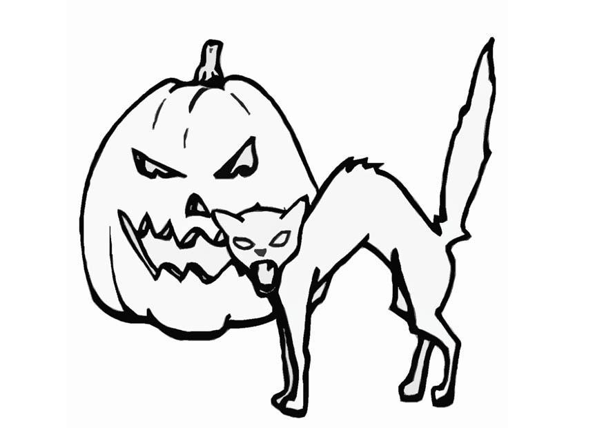 Disegno da colorare zucca e gatto, halloween