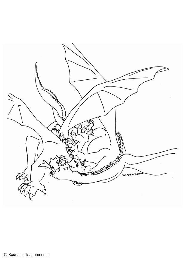 Disegno da colorare drago combattente