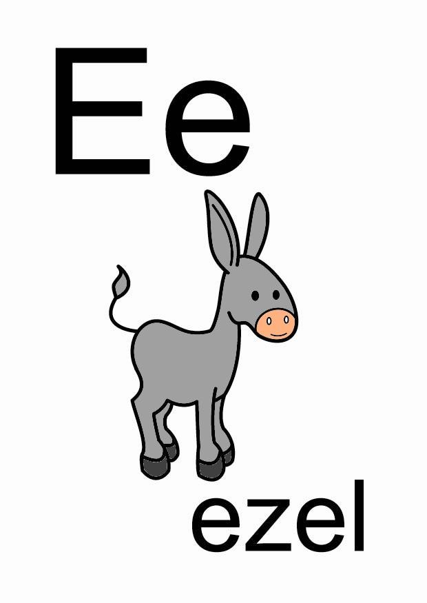 e immagine e