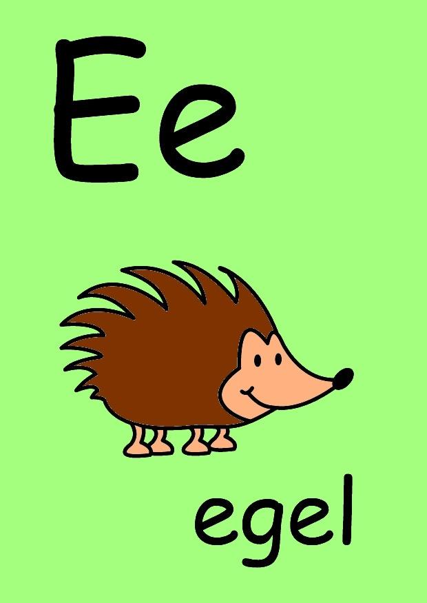 e immagine e