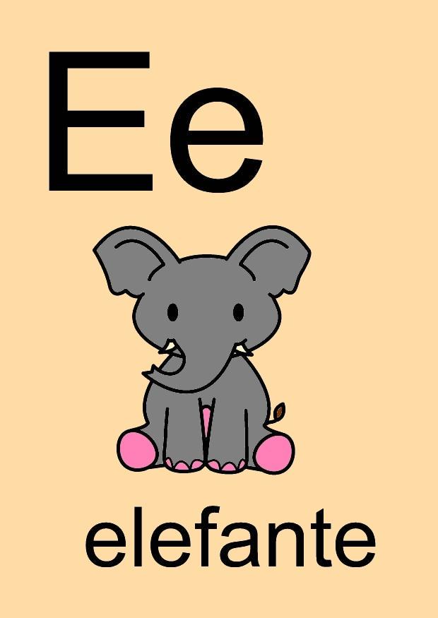 e immagine e
