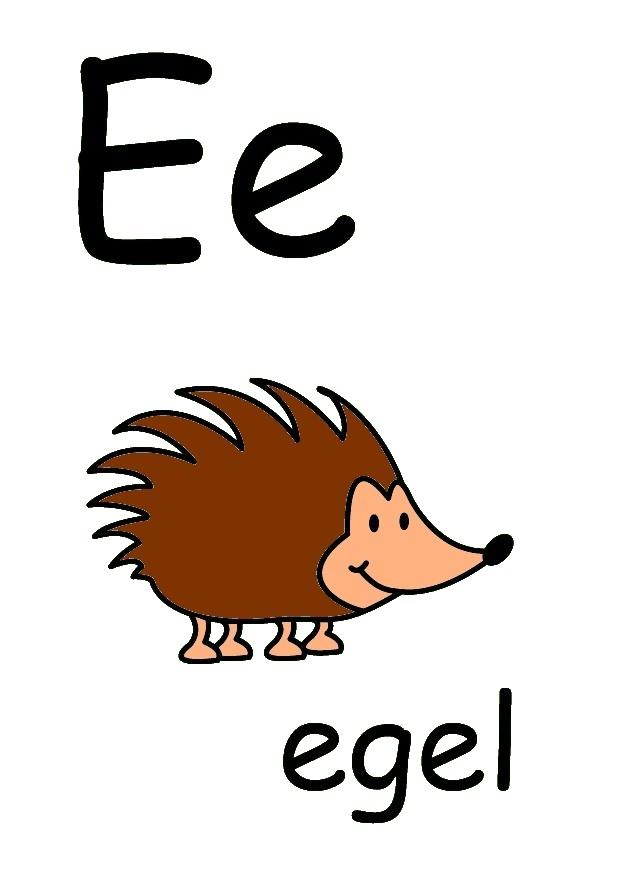 e immagine e