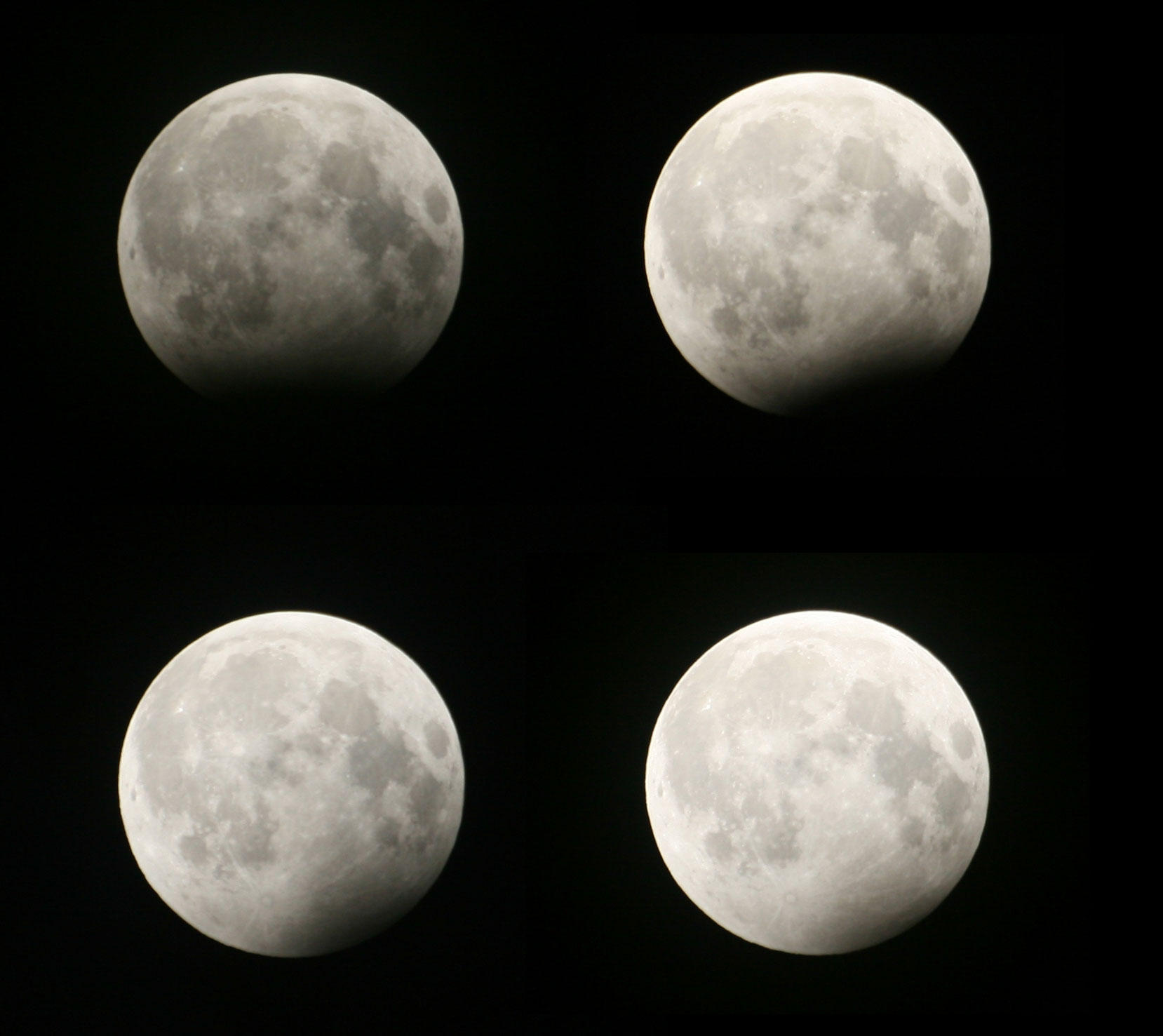 eclissi lunari Foto eclissi lunari
