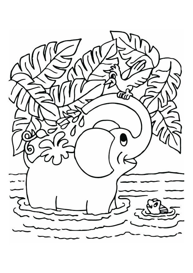 elefante Disegno da colorare elefante
