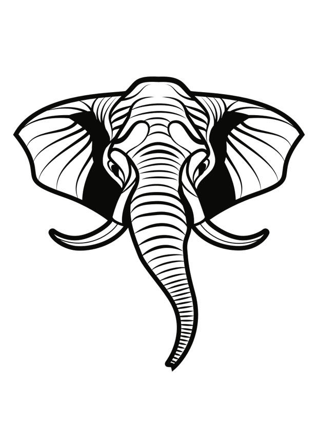 elefante Disegno da colorare elefante