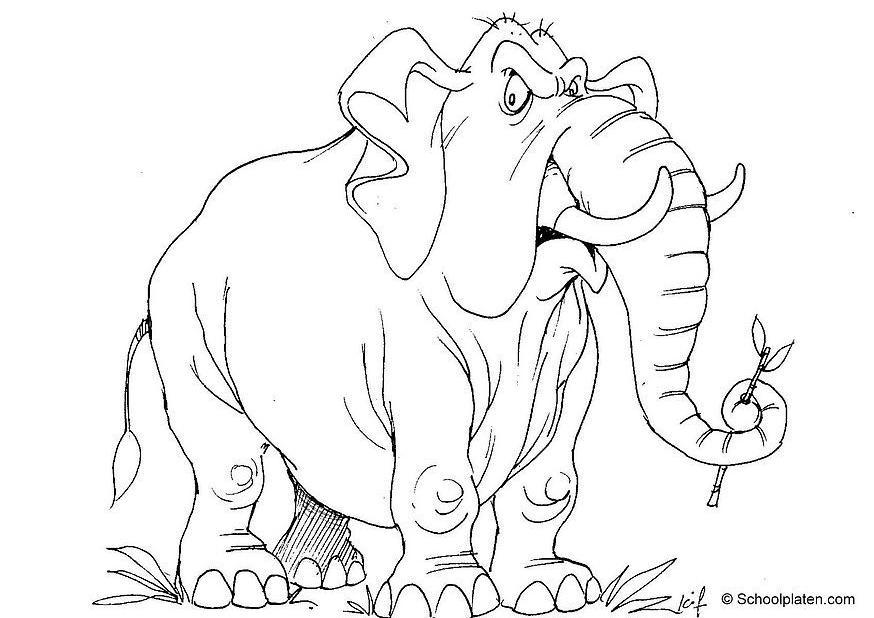 elefante Disegno da colorare elefante
