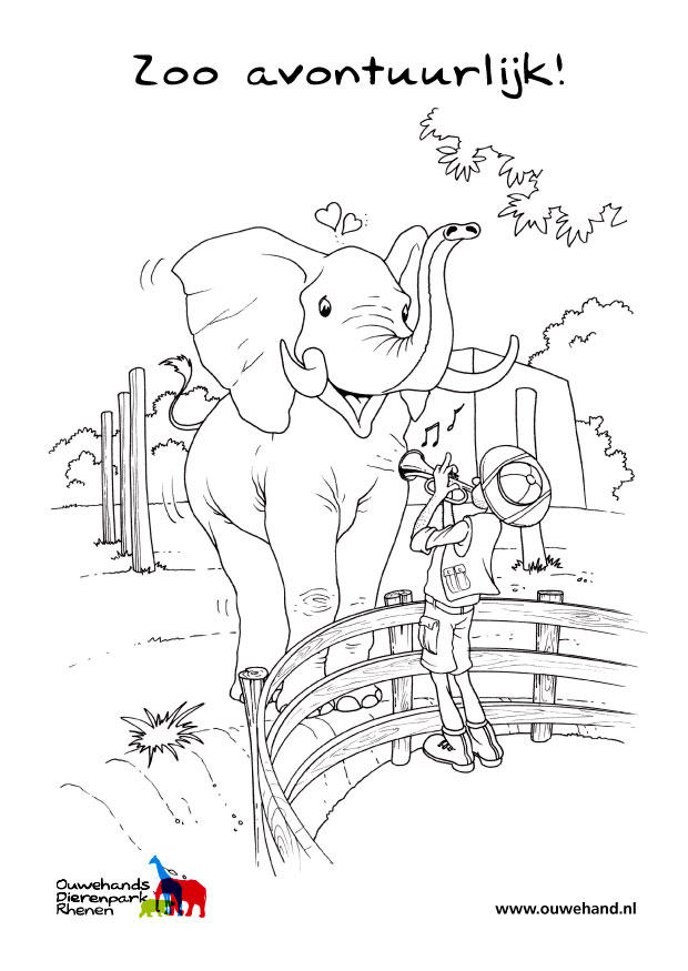 elefante allo zoo Disegno da colorare elefante allo zoo
