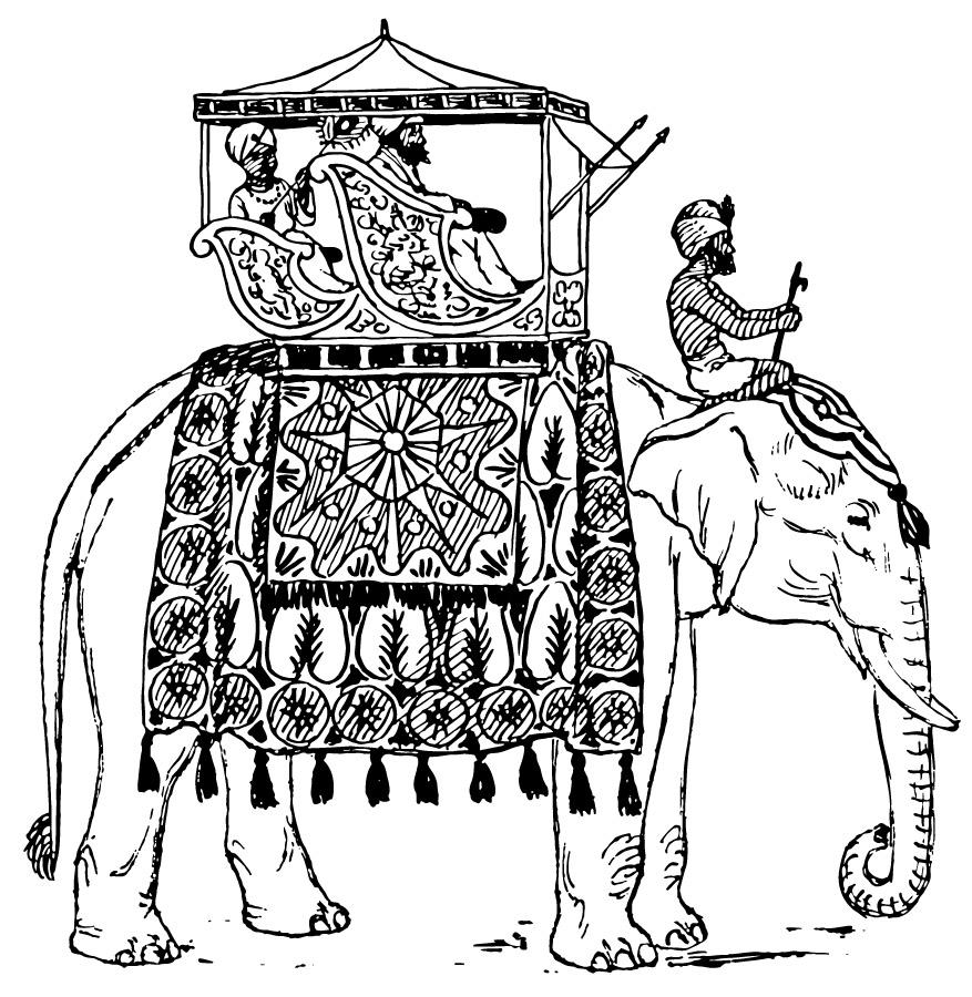 Disegno da colorare elefante in india