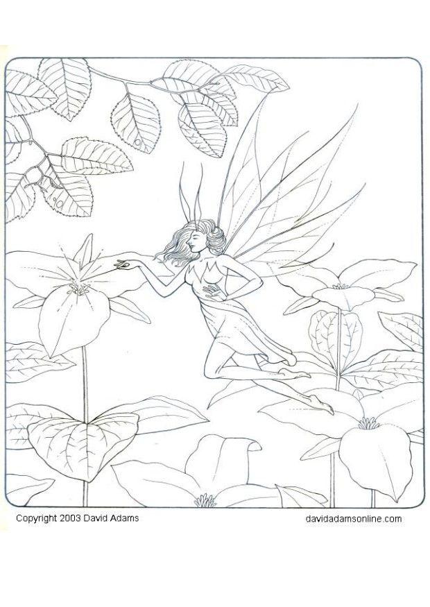 elfo Disegno da colorare elfo