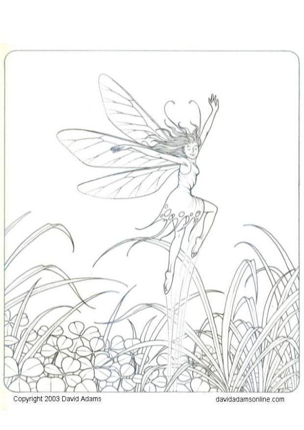 elfo Disegno da colorare elfo