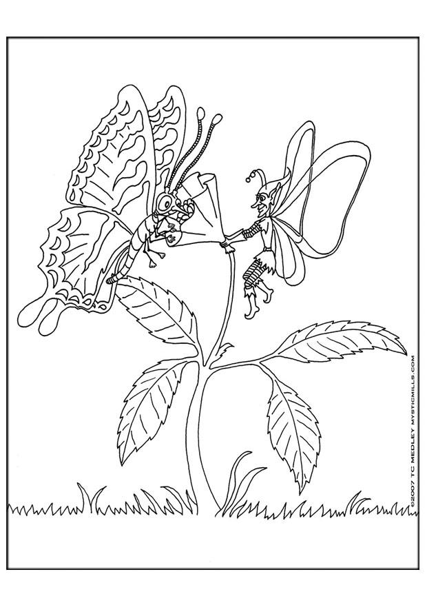 elfo e farfalla Disegno da colorare elfo e farfalla