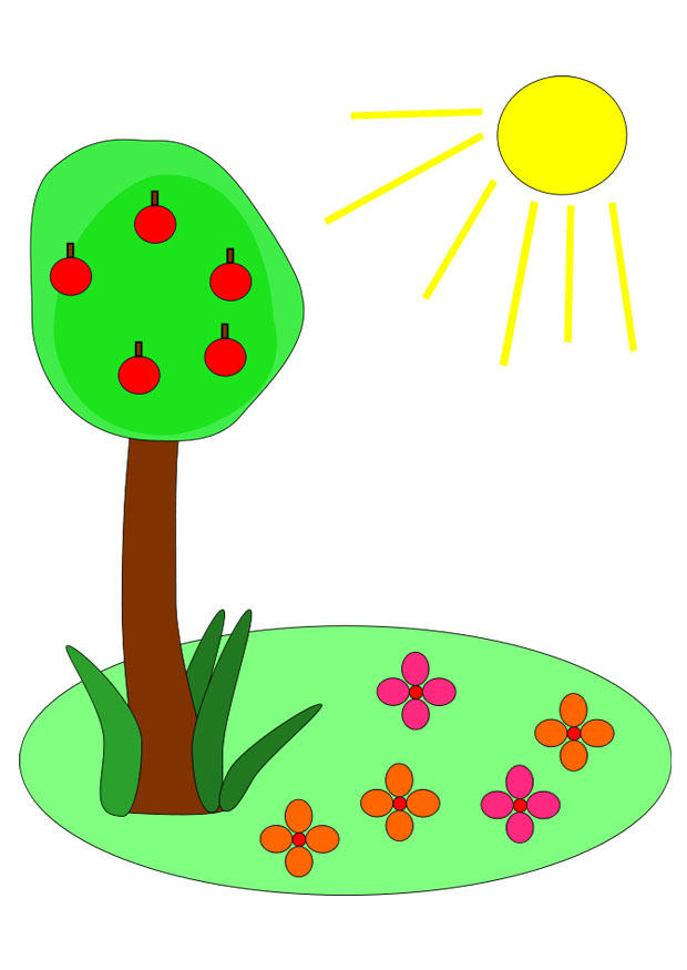 estate immagine estate