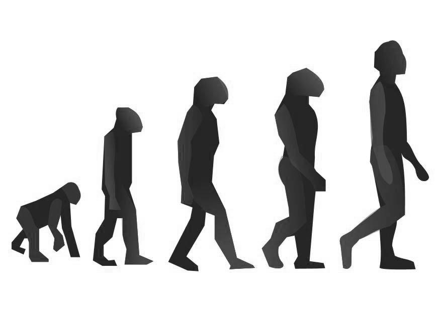 evoluzione Disegno da colorare evoluzione
