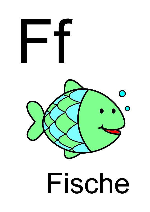 f immagine f