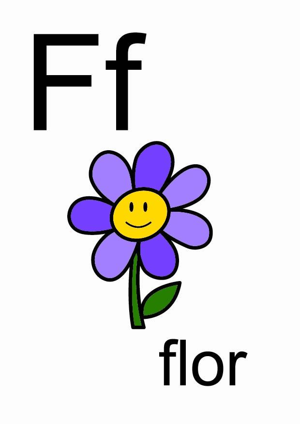 f immagine f