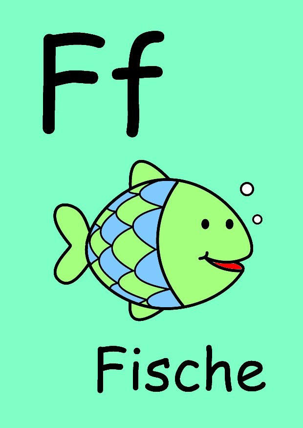 f immagine f
