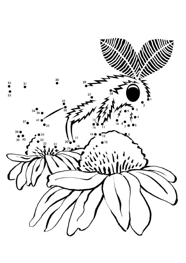 falena Disegno da colorare falena
