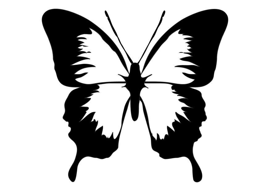 farfalla Disegno da colorare farfalla